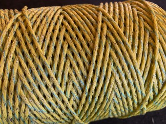 Geelbraided2009x 3